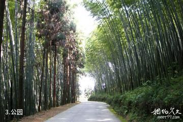 大竹五峰山国家森林公园-公园照片