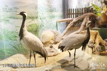 南通森林野生動物園-百獸秘境照片