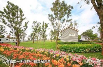 彌勒太平湖森林小鎮照片