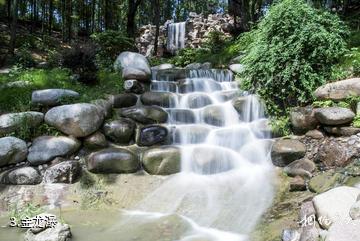 蔡甸金龙水寨景区-金龙瀑照片