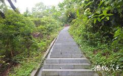 珠海将军山公园旅游攻略之登山步道