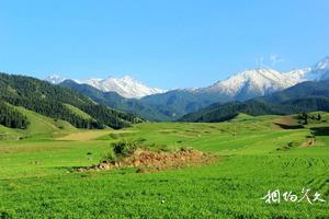 新疆阿克苏昌吉吉木萨尔泉子街旅游景点大全