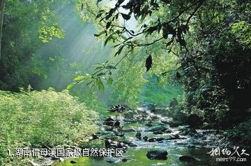 湖南借母溪国家级自然保护区照片