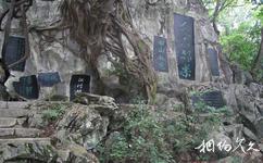 柳州都樂岩旅遊攻略之書山碑林