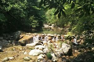 安徽池州青陽陵陽旅遊攻略-陵陽鎮景點排行榜