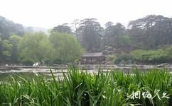 北京植物园旅游攻略之树木园