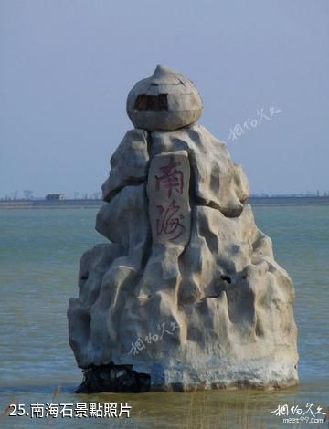 東營龍悅湖天鵝湖-南海石照片