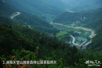 湖南天堂山國家森林公園照片