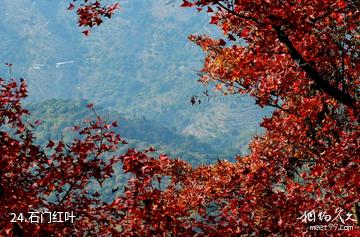 广州从化石门国家森林公园-石门红叶照片