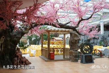 安顺贵州多彩万象旅游城-多彩生态花园酒店照片