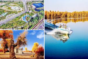 新疆阿克苏沙雅旅游攻略-沙雅县哈德墩镇景点排行榜