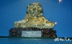 河南省地質博物館旅遊攻略之黃鐵礦