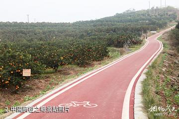 成都金堂中國臍橙之鄉-中國臍橙之鄉照片