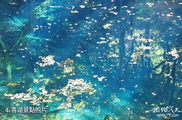 日本白神山地-青湖照片