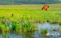 敦化大石头亚光湖国家湿地公园旅游攻略之湿地