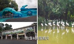 廣州動物園驢友相冊