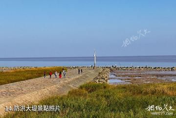 上海南匯嘴觀海公園-防洪大堤照片
