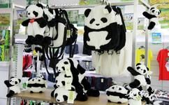 樂山峨眉仙芝竹尖生態園旅遊攻略之大熊貓紀念品