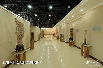 長興金釘子遠古世界地質遺迹-古木化石展廳照片