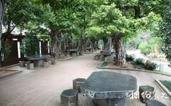 香港南莲园池旅游攻略之榕林