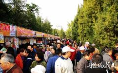 北京地壇公園旅遊攻略之地壇書市