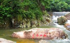 杭州天目大峽谷旅遊攻略之海豚石