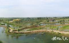 泗洪洪泽湖湿地旅游攻略之水生植物园