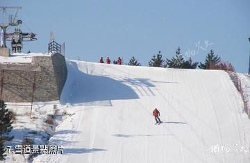 龍井馬蹄山旅遊度假區-雪道照片