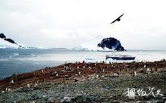 南极半岛旅游攻略之丹科岛