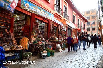 玻利維亞拉巴斯市-女巫市場照片