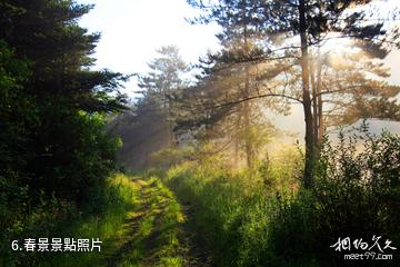 安康化龍山國家級自然保護區-春景照片