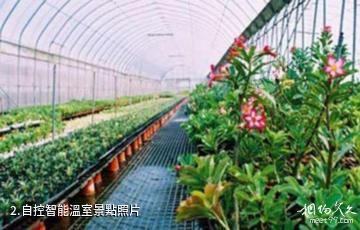 天牧玫瑰園-自控智能溫室照片