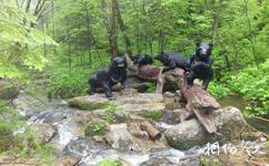 森工清河林区旅游攻略之雕塑