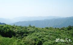 湖南陽明山國家級自然保護區旅遊攻略之陽明山