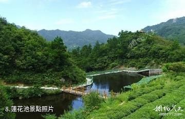 臨沂茶山旅遊區-蓮花池照片