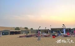 迪拜沙漠保護區旅遊攻略之露營