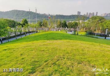 重庆巴南融汇西流沱滨江旅游区-青青草原照片
