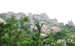 海阳招虎山国家森林公园旅游攻略之九塔峰