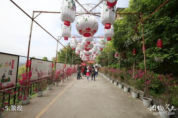 重庆开州盛山植物园-景观照片