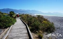 新西兰凯库拉镇旅游攻略之半岛步道