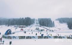 塞尔维亚科帕奥尼克旅游攻略之滑雪场