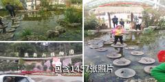 重庆南山植物园驴友相册