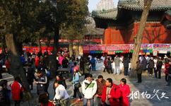 北京东岳庙旅游攻略之小吃