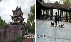 江西貴溪浮石公園驢友相冊