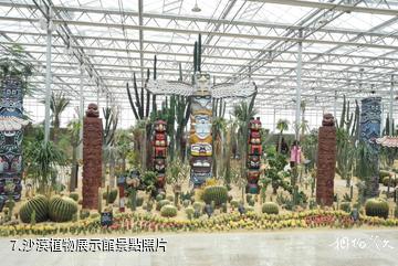 安徽靈璧農業觀光示範園-沙漠植物展示館照片