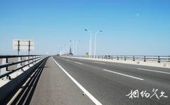 上海東海大橋旅遊攻略之車道