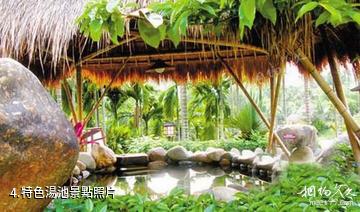 瓊海椰寨農家樂-特色湯池照片