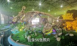 诸城恐龙博物馆驴友相册