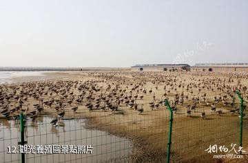 齊齊哈爾龍騰生態溫泉度假莊園-觀光養殖區照片