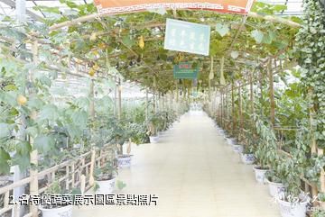 畢節泰豐農業生態植物觀光園-名特優蔬菜展示園區照片